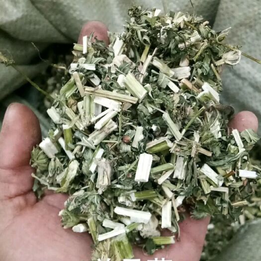 荣县益母草，高含量，实心，紫花益母草，前期大货提供