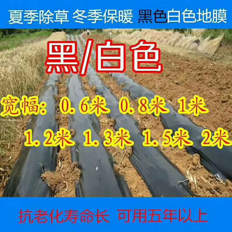 黑色地膜除草膜果园果树蔬菜种植地膜银黑膜白色保温膜黑白相间膜