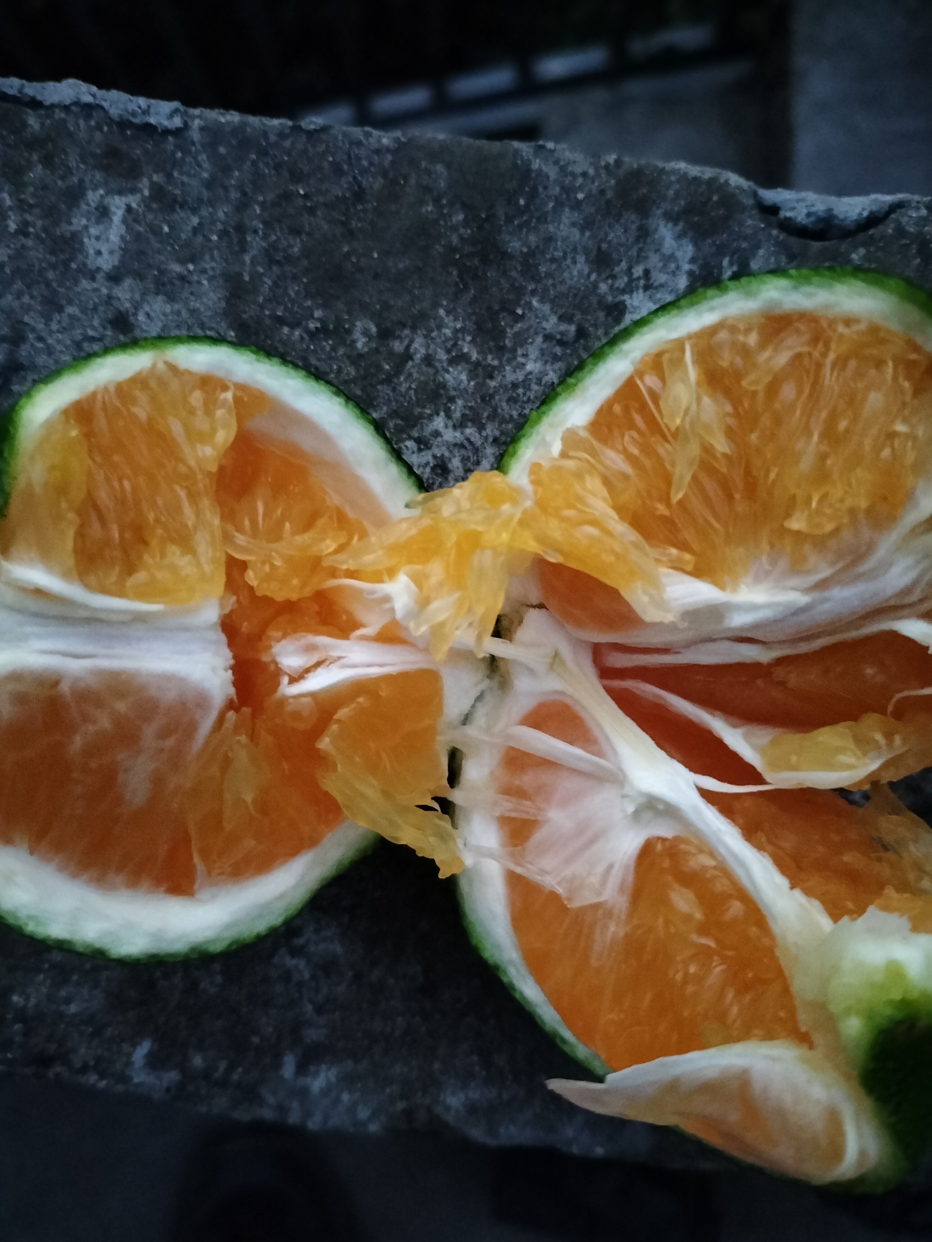 【推荐】九月红脐橙    湖北秭归脐橙，一年四季供应。