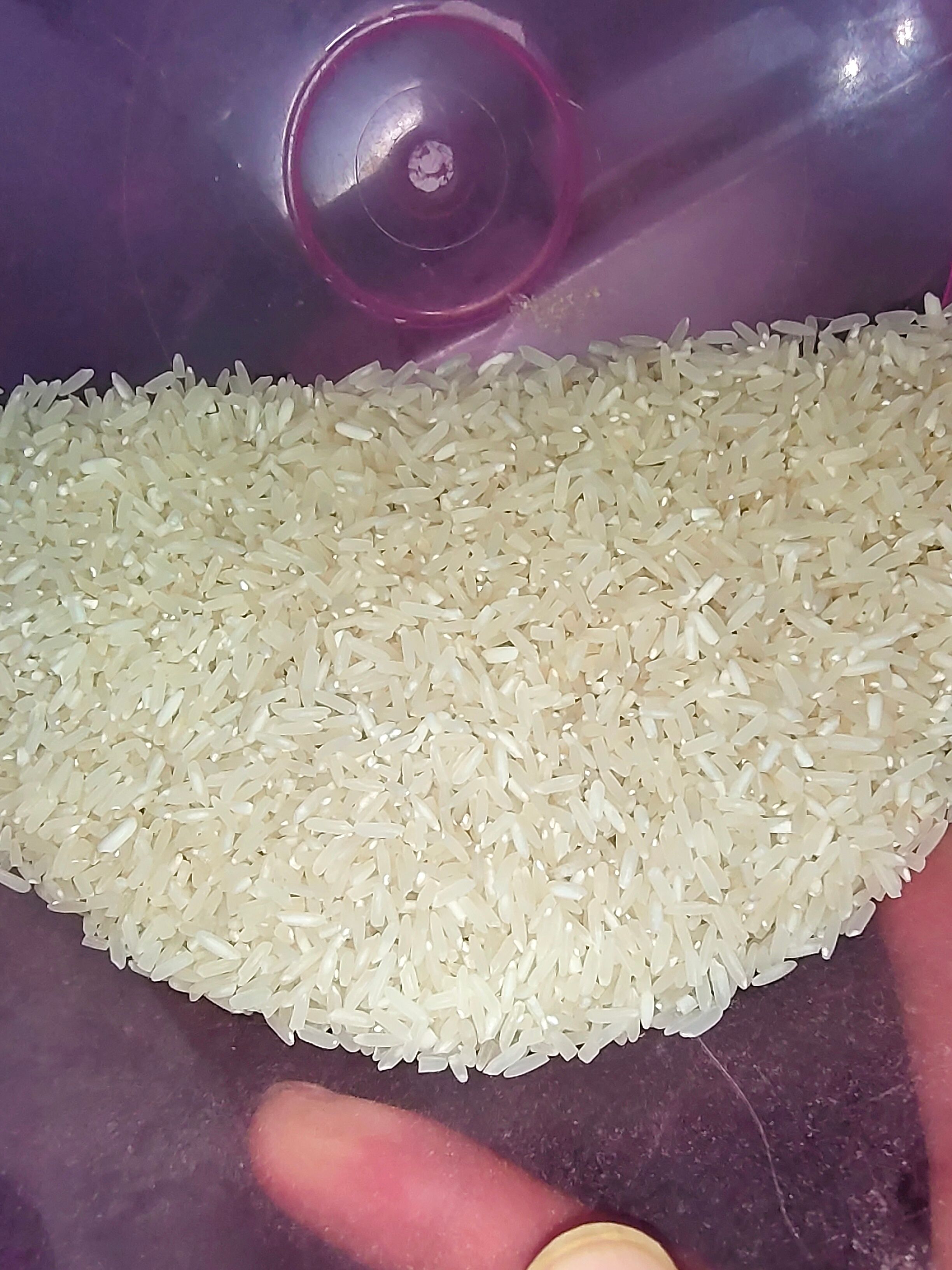 碾米机  鲜米机胚芽米机
