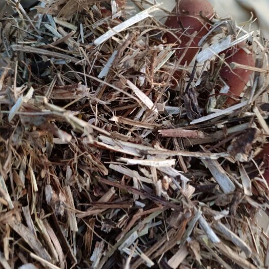明光市 压块花生秧一级草无土无霉无膜质量保证 干的刺手