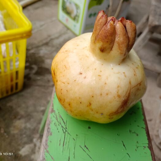 蚌埠突尼斯软籽石榴 工厂原材料石榴和梨