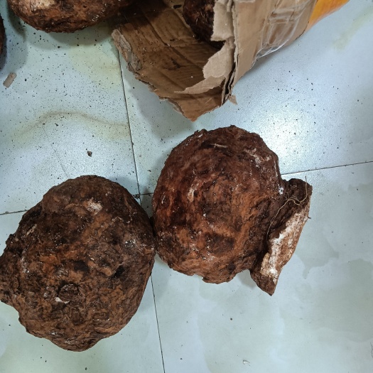 墨江县赤茯苓  茯苓 白茯苓