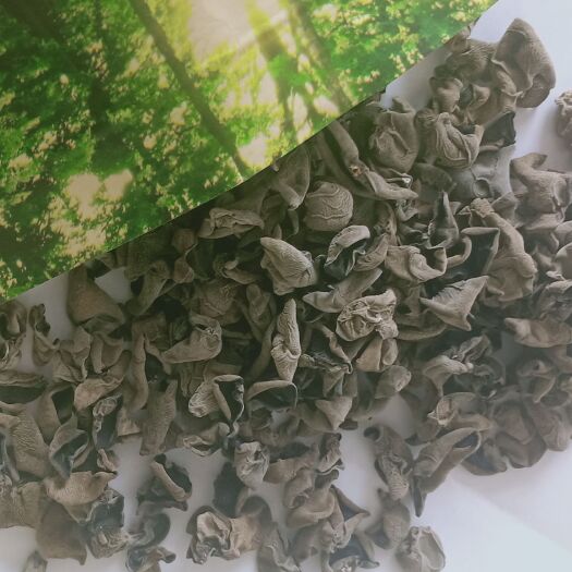 牡丹江东北黑木耳