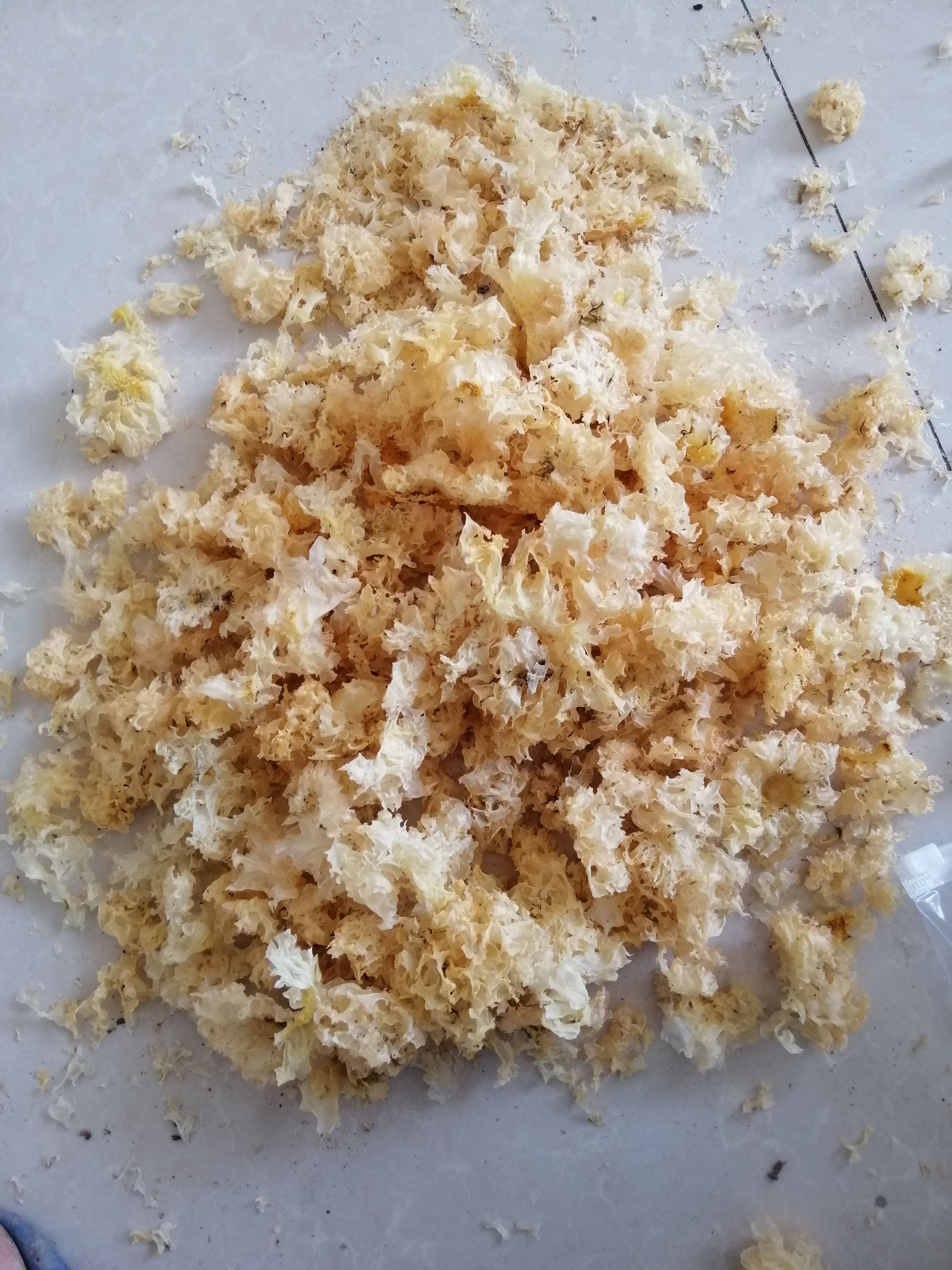 通江椴木银耳中小耳批发通货