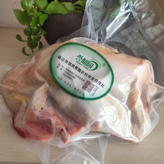 临江市鸡肉  散放笨鸡，肉香，吃一口忘不掉
