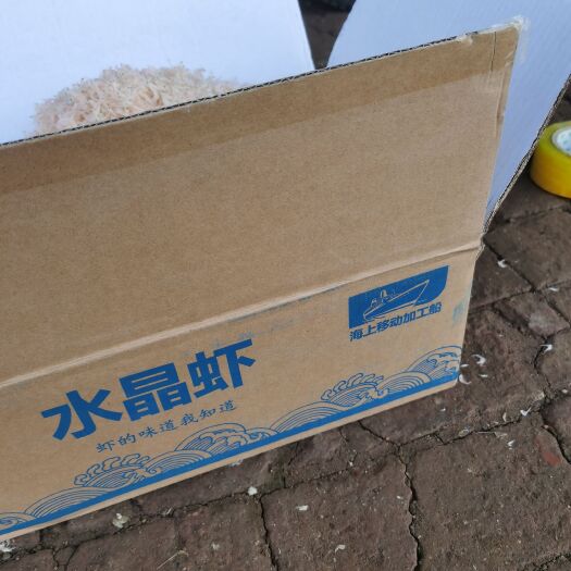 滨州虾皮 12-18个月 