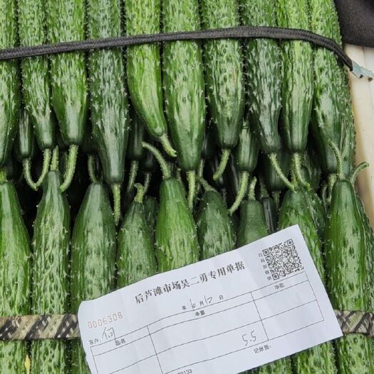 莘县新秧密刺黄瓜，大量供应干花精品，鲜花精品，绿亮黑亮