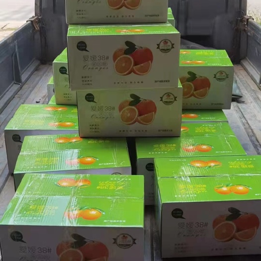 资中县爱媛橙  爱媛38含丰富维生素，解馋蜜汁饱满爽囗下单直接树上