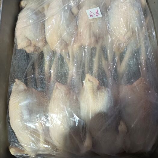 蕲春县各种白条，分割鸡肉