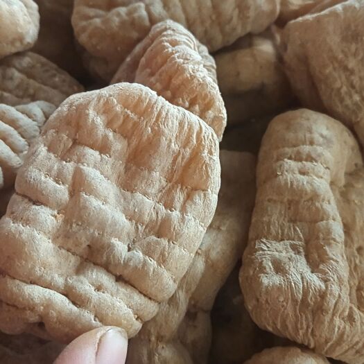 彝良县 干天麻