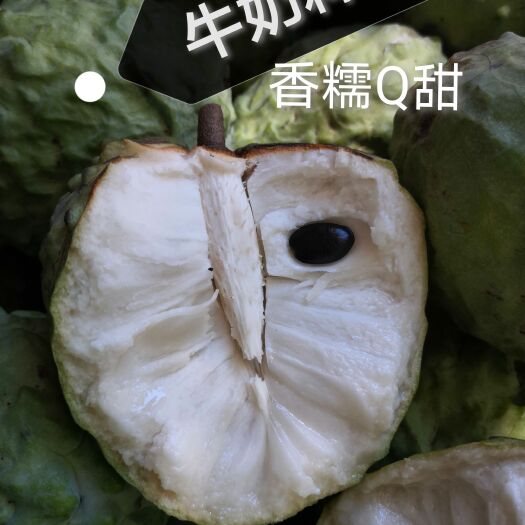 耿马县释迦果番荔枝自己家的水果已经成熟果肉鲜美香糯Q甜欢迎大家品尝