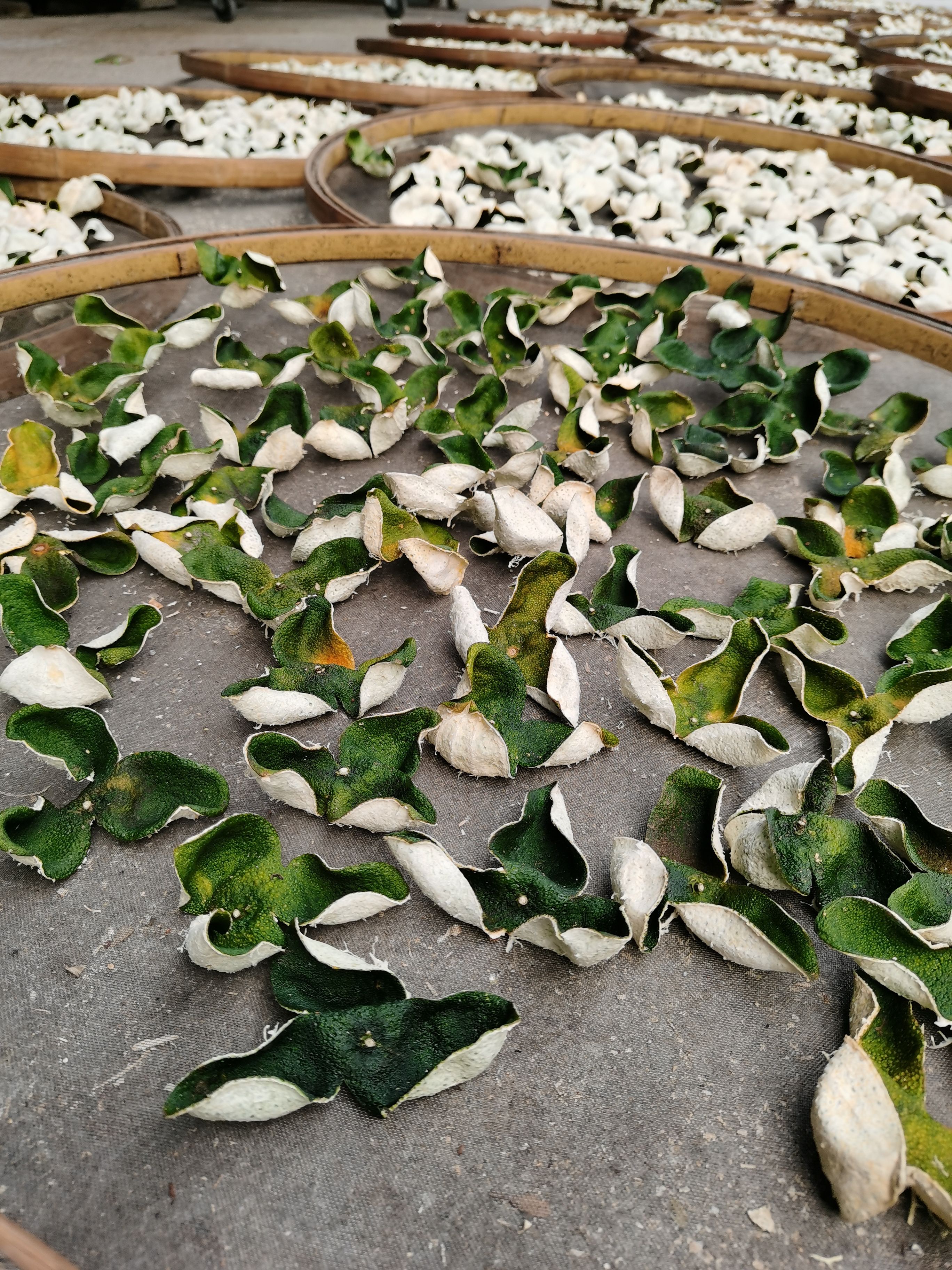 陈皮新会产地直销，质量保证，2022年青皮