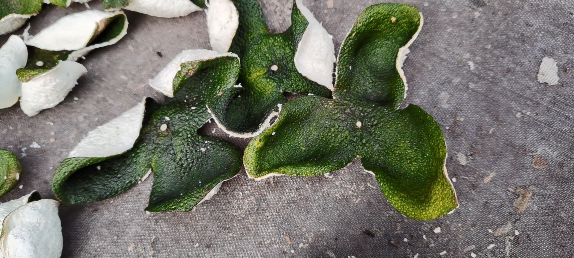 陈皮新会产地直销，质量保证，2022年青皮