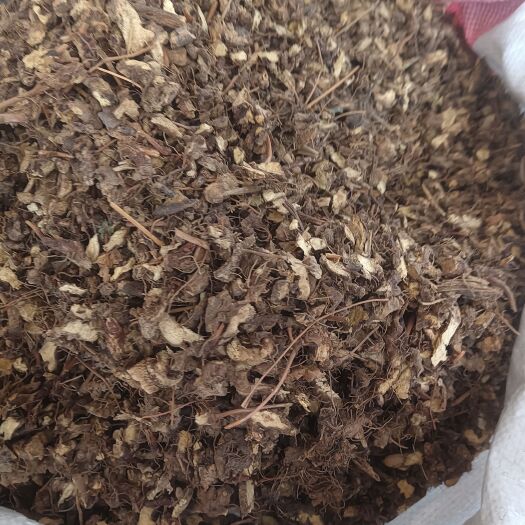 玉林仙灵脾别名淫羊藿根量大从优无硫切片