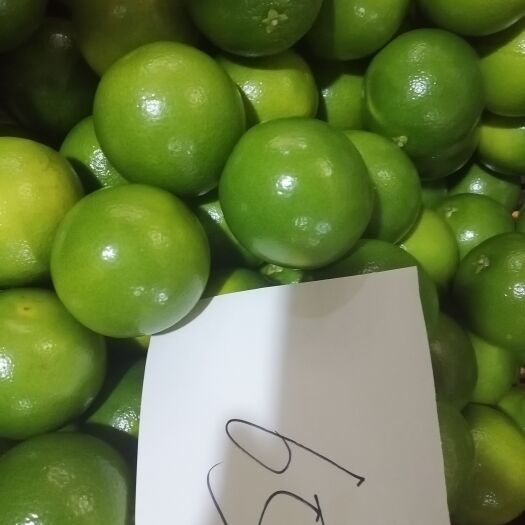 新平县云南褚橙之乡冰糖橙，（龍橙果业）