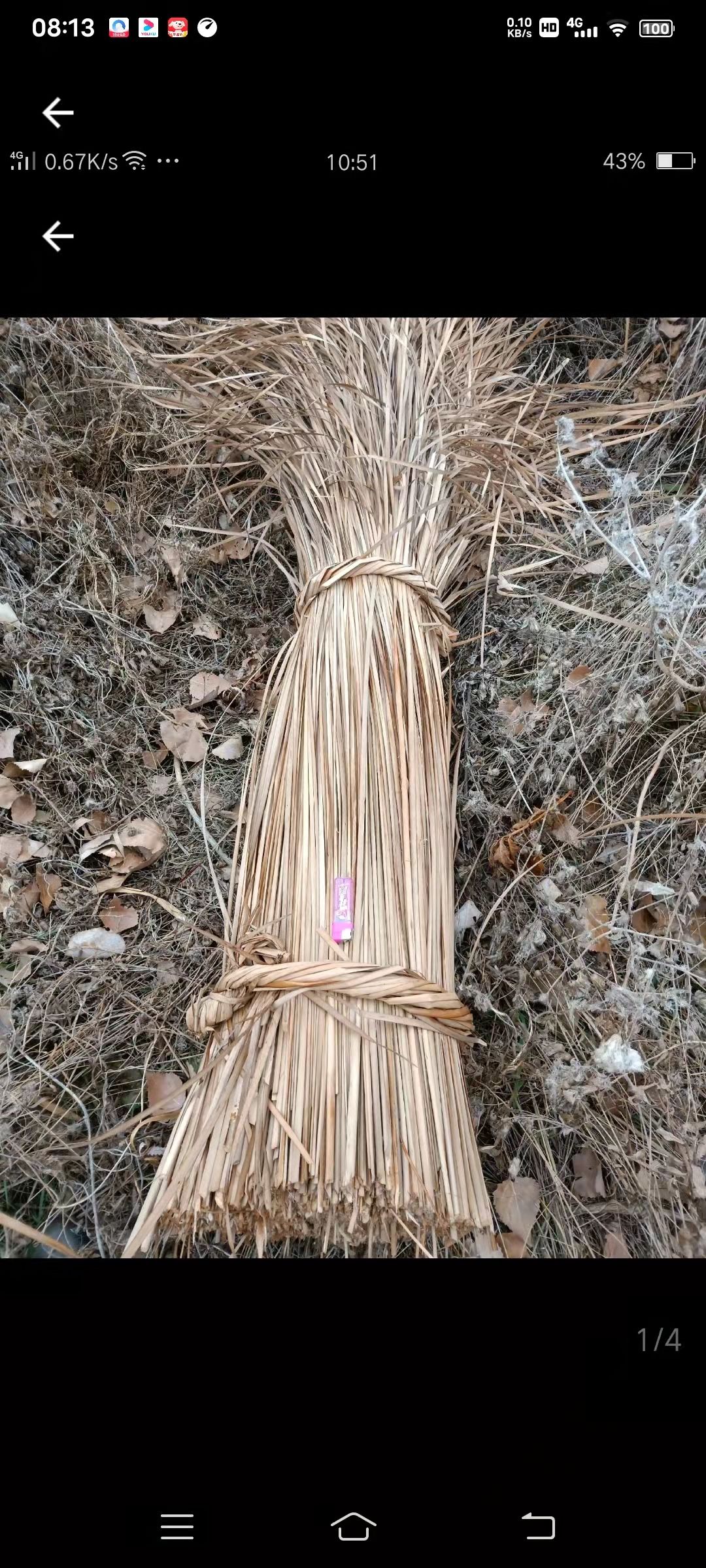 长期供应干蒲草，蒲草绳，蒲草