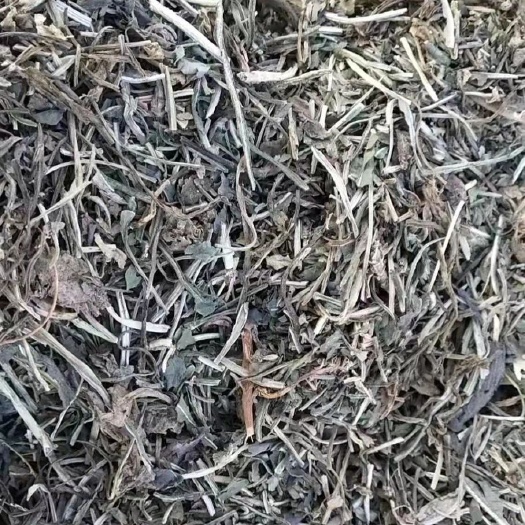 鄄城縣大青葉 