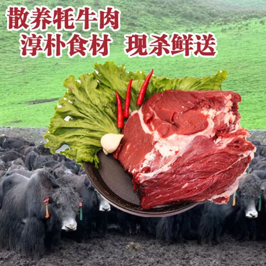 牛肉类  青藏高原牦牛肉，牦牛腿肉，牦牛里脊，牦牛健子，