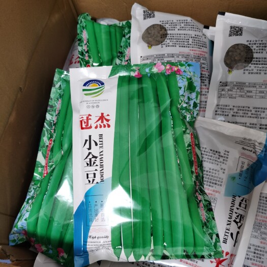 云南小金豆種子   紫花四季豆種子