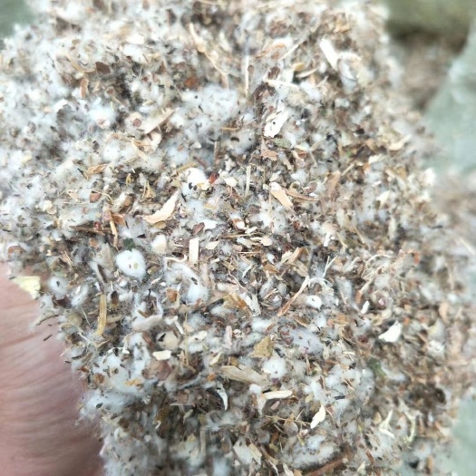 临清市 棉渣棉籽壳食用菌原料玉米芯平菇种植草菇种植原料不孕籽棉渣