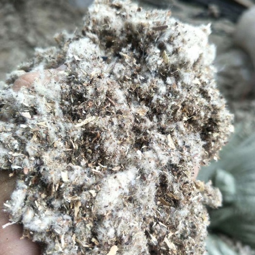 临清市 普通棉渣价格低，绒多，价格低