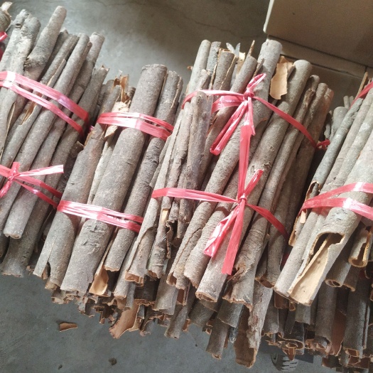 德庆县普通桂皮 桂皮