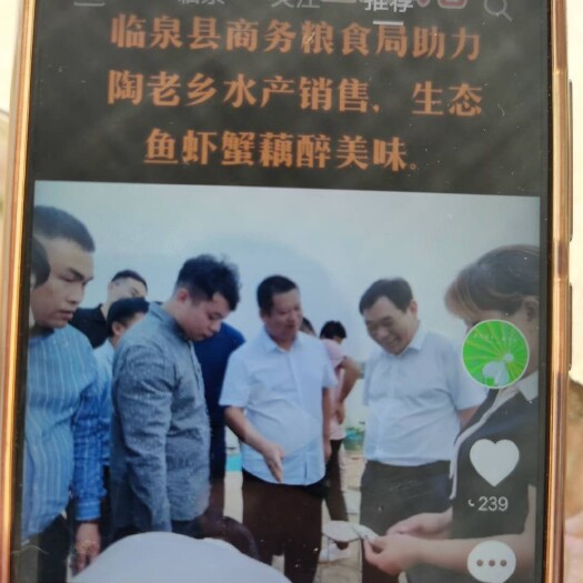 临泉县大闸蟹 安徽省阜阳市临泉县 