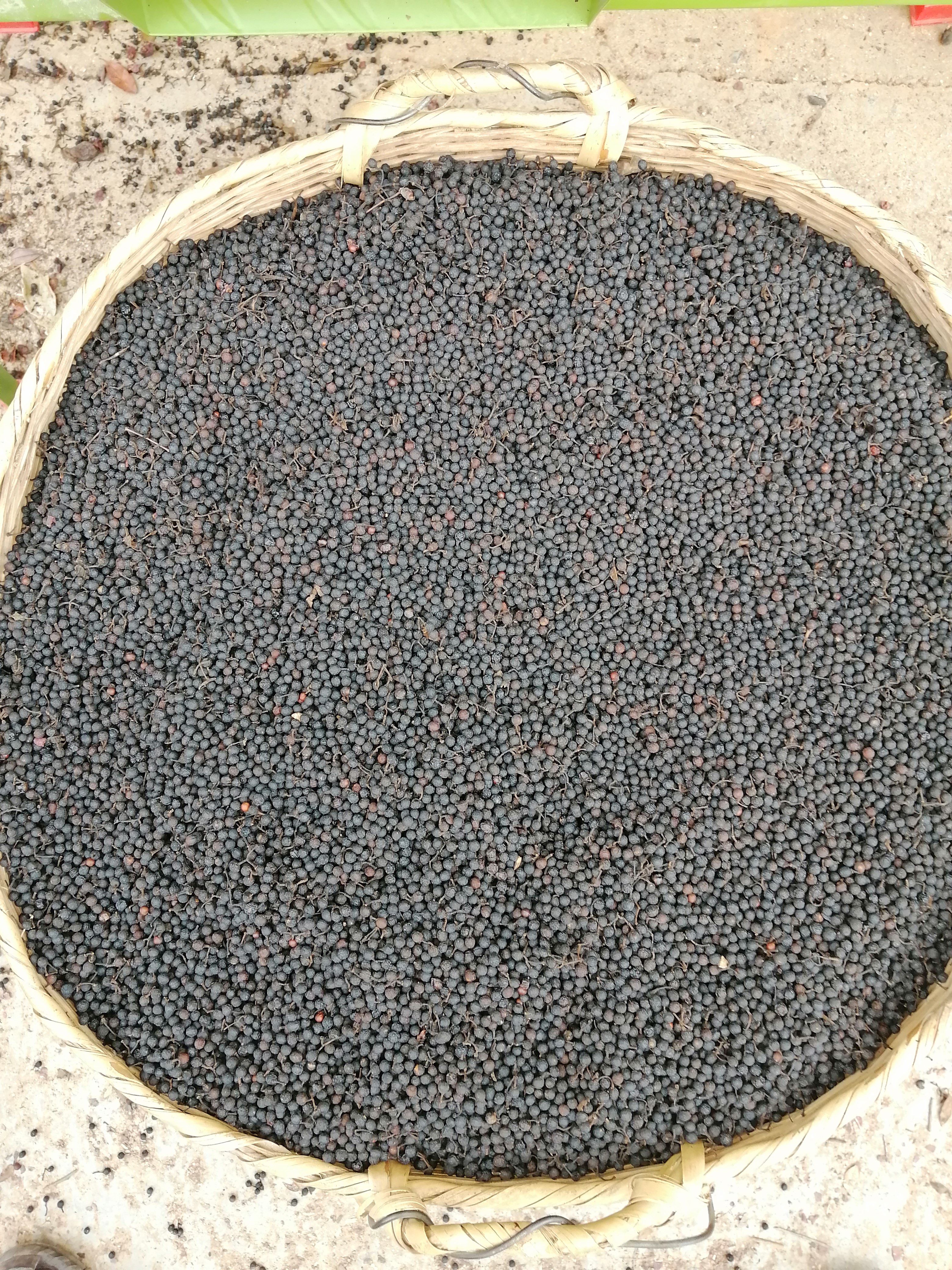 山胡椒 木姜子（山姜子）干货