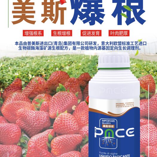 青岛水溶肥 控释肥  美斯爆根是一天生根芽，两天生寸根，三天生壮根，强根生根，壮根