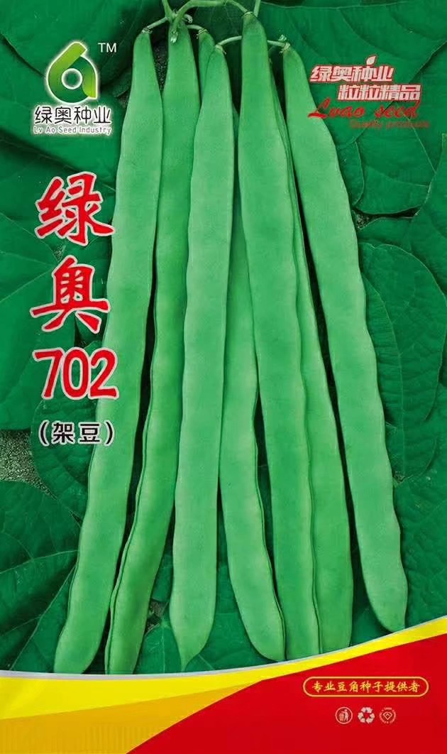 莘县扁豆种子  绿奥702扁豆  包邮，24小时发货