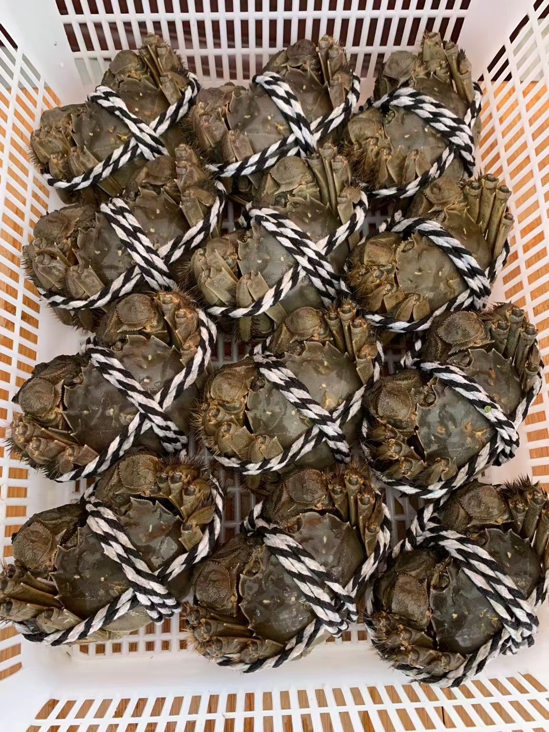  兴化红膏大闸蟹，产地直发