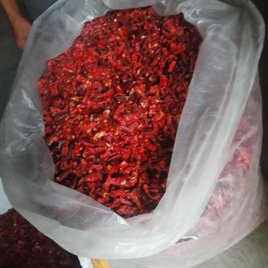 福泉市干线椒 干辣椒段