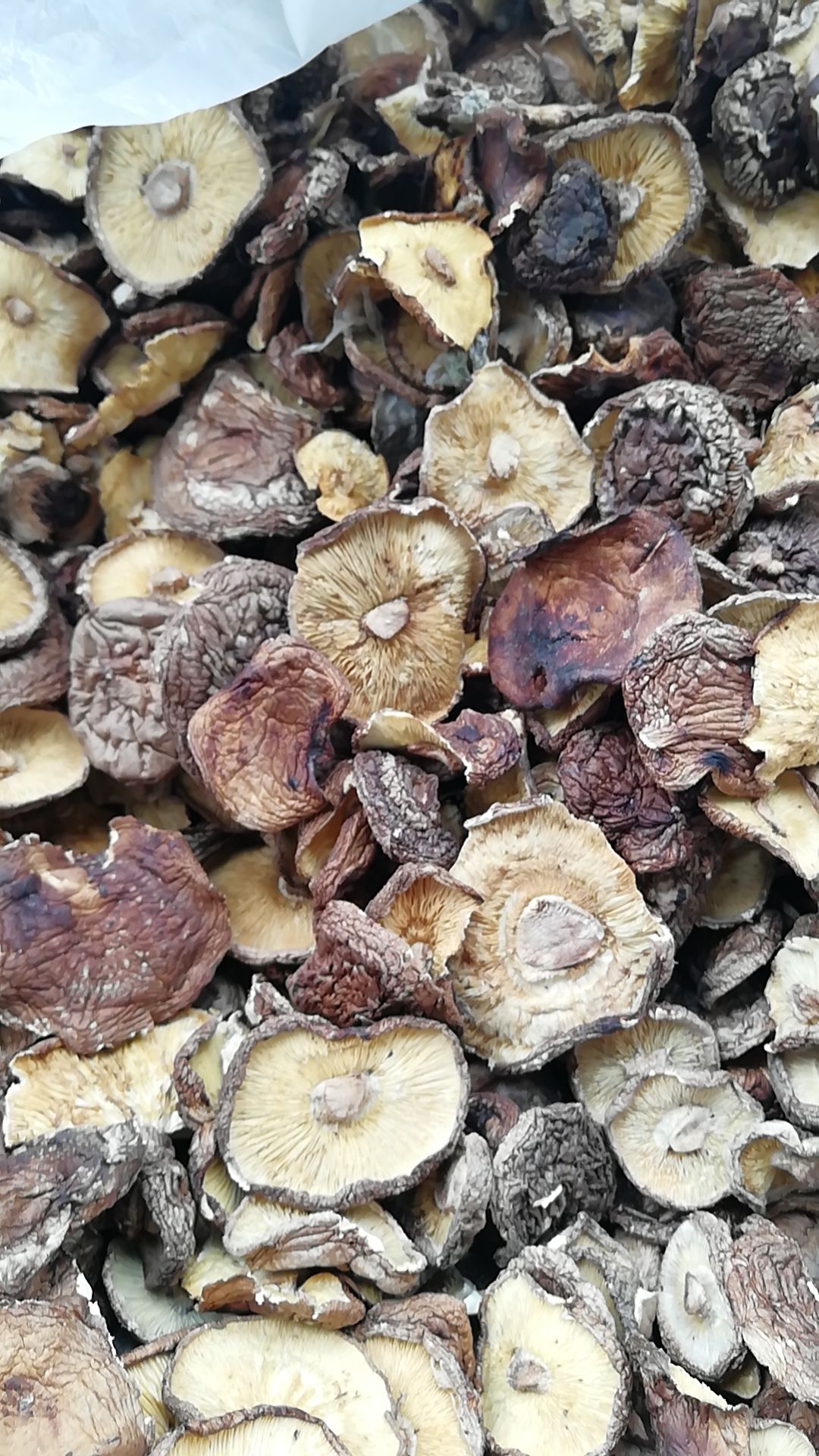 光面菇  湖北十堰干香菇，质优价廉，严格按照客户要求精选，欢迎选购