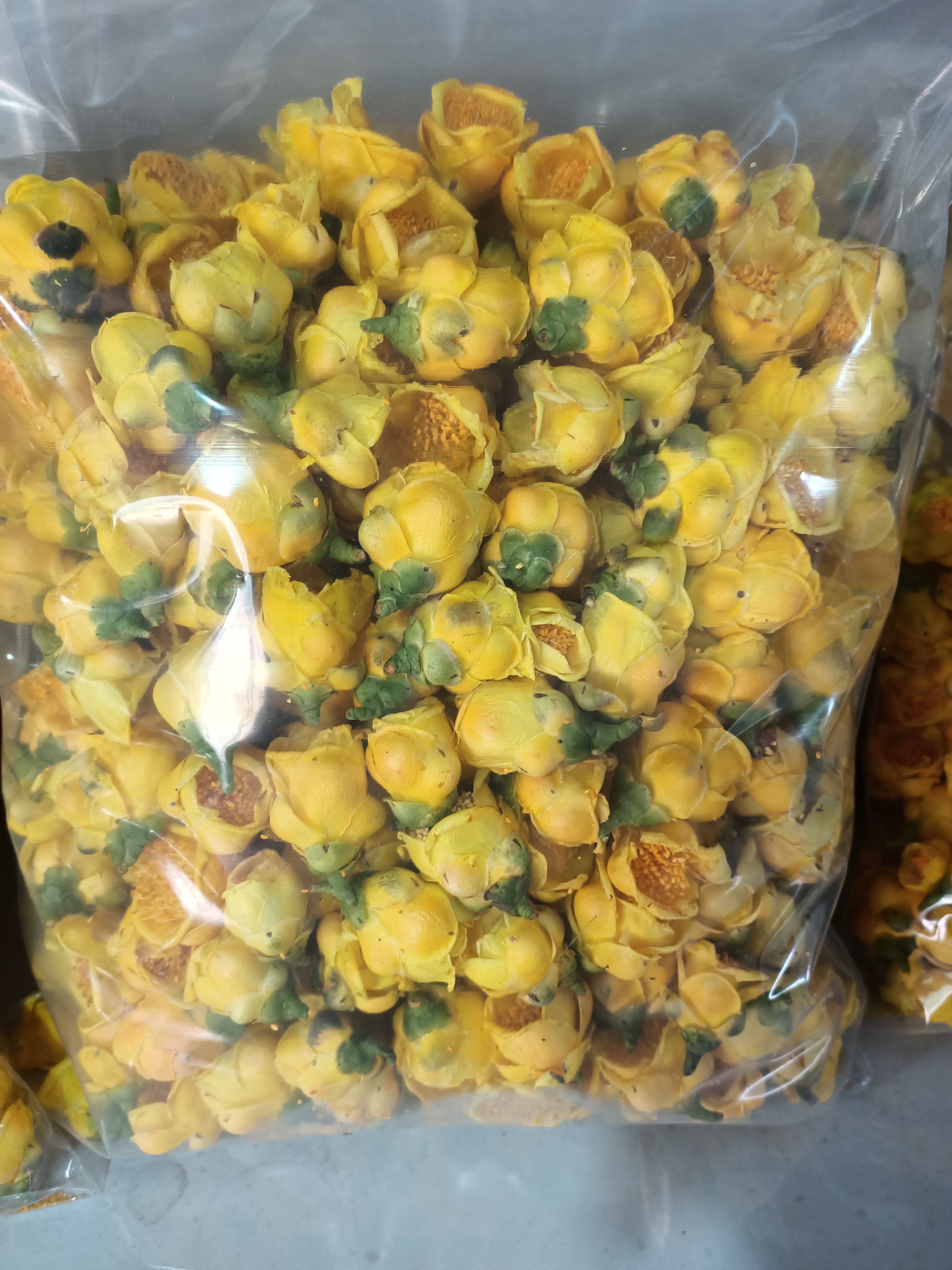 防城港 国宝金花茶