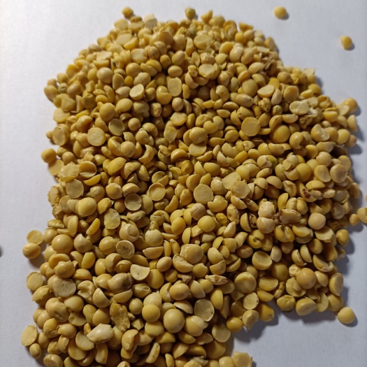 北安市东升系列 优质2等豆瓣