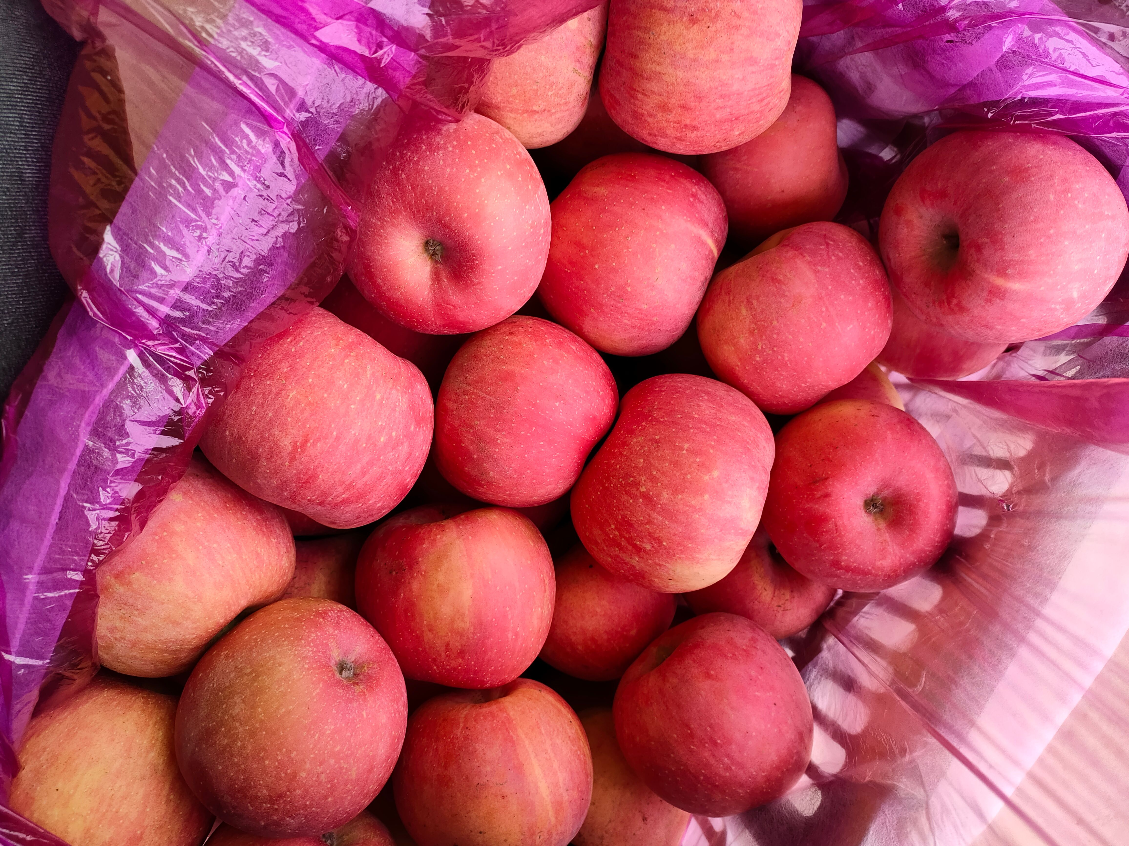 红富士苹果 河北省秦皇岛市青龙满族自治县 纸袋 