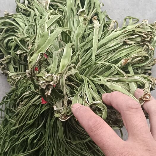 涡阳县菜头干  正宗安徽菜一级大量上市
