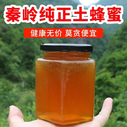 商南县秦岭高海拔土蜂蜜纯正天然农家自产百花蜜500g