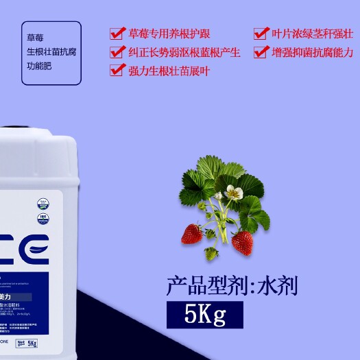 青岛有机水溶肥 氨基酸肥料  草莓生根提苗专用氨基酸功能肥 水溶肥冲施肥厂家直