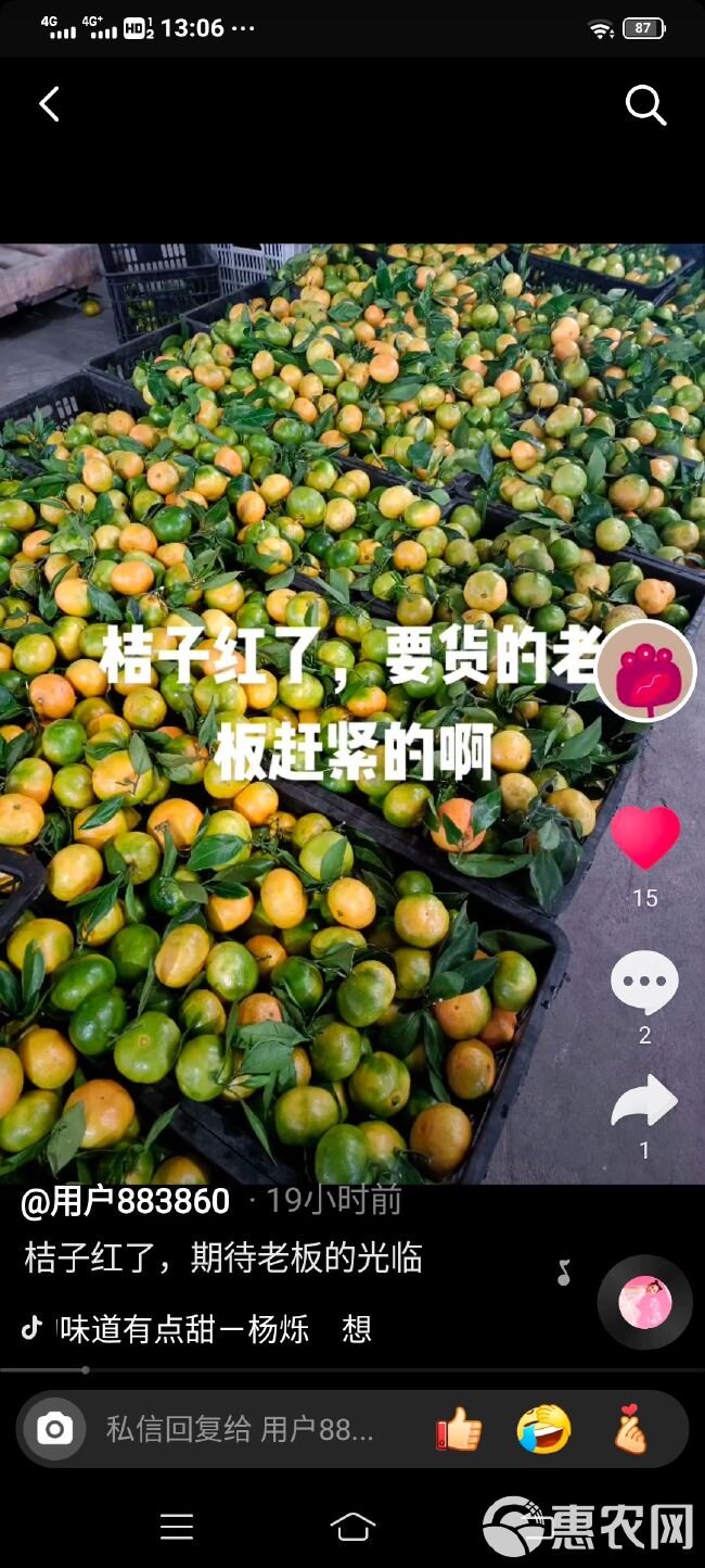 蜜桔  湖北特早蜜橘，个大皮薄，口感酸甜适中，入囗即化无渣，