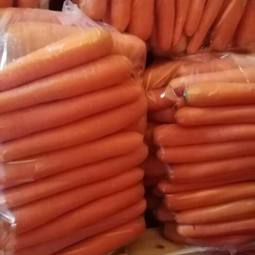 靖边县 大量批发二两起步胡萝卜