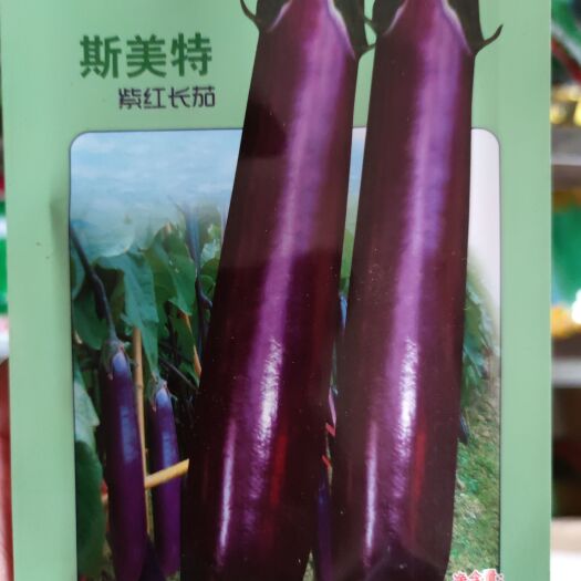 南昌斯美特紫红长茄茄子种子，1000粒