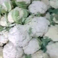 徐州白花菜花 适中 江苏省徐州市铜山区 2~3斤