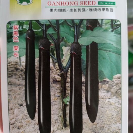 南昌圣龙茄子种子