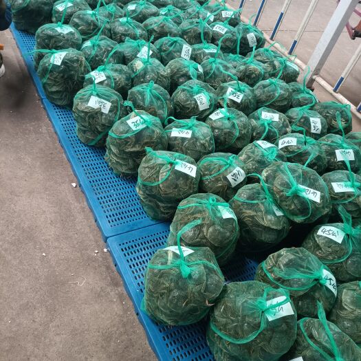 天门市 大闸蟹