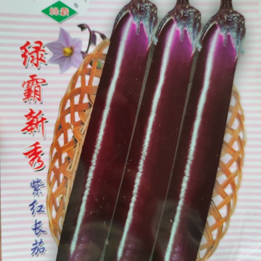 绿霸新秀紫红长茄茄子种子1000粒包邮，