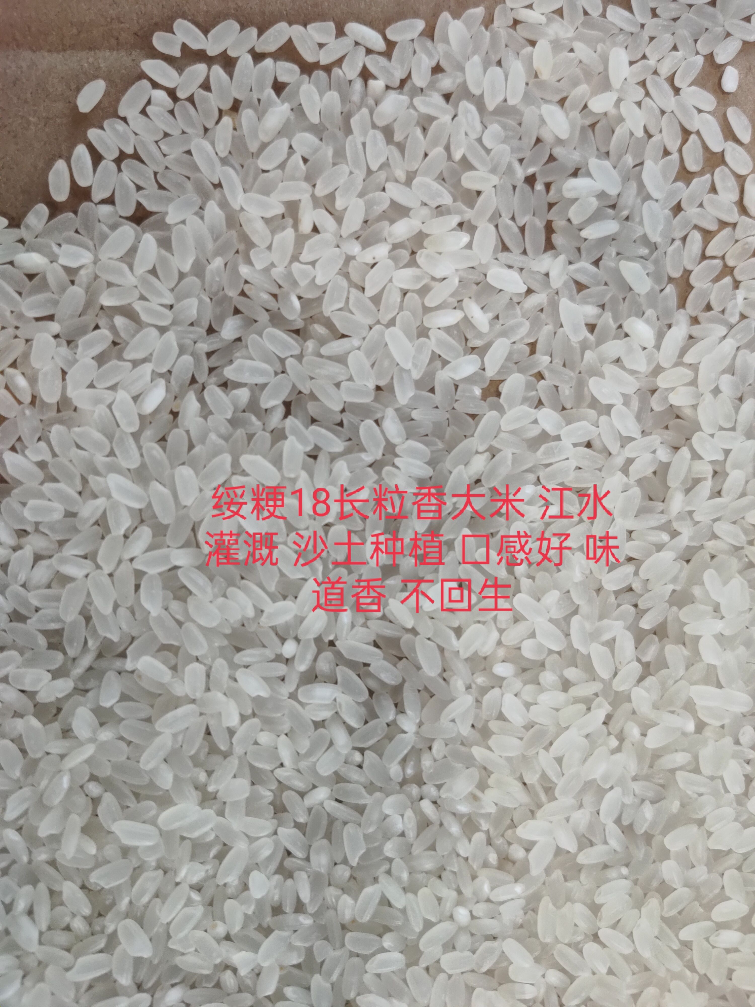  黑龙江齐齐哈尔长粒香大米 产自黑龙江扎龙国家自然保护区