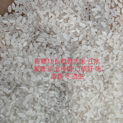  黑龙江齐齐哈尔长粒香大米 产自黑龙江扎龙国家自然保护区