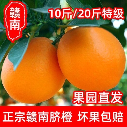 瑞金市赣南脐橙产地直发新鲜采摘 供商超微商网商一件代发大量批发